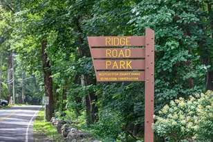 14 S Longfellow St, Hartsdale, NY 10530 - Photo 39