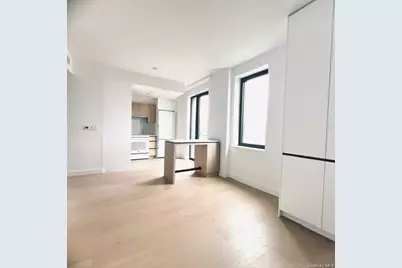 1807 66th Street #4D, Brooklyn, NY 11204 - Photo 3