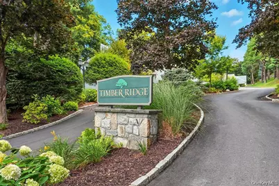 11 Timber Ridge #11, Mount Kisco, NY 10549 - Photo 1