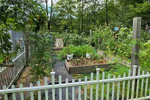 42 Gabriel Rd, Cochecton Center, NY 12726 - Photo 25