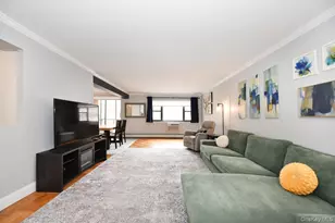 100 Clinton Ave, Mineola, NY 11501 - Photo 7