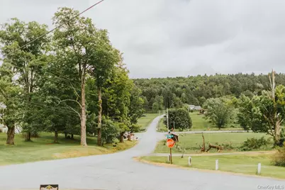 783 Skipperene Road, Cochecton Center, NY 12726 - Photo 13