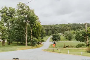 783 Skipperene Rd, Cochecton Center, NY 12726 - Photo 13
