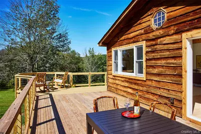 50 Hahn Road, Livingston Manor, NY 12758 - Photo 23