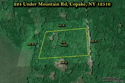 224 Under Mountain Road, Ancram, NY 12516 - Photo 41