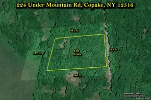 224 Under Mountain Rd, Ancram, NY 12516 - Photo 41