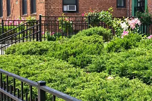 83-00 Talbot St, Kew Gardens, NY 11415 - Photo 3