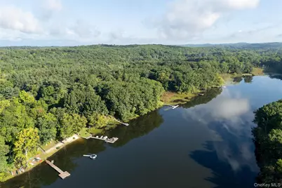 303 Sepasco Lake Drive, Rhinebeck, NY 12572 - Photo 3
