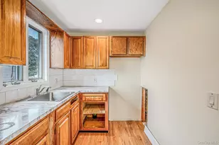 66 Norton St, Patchogue, NY 11772 - Photo 17