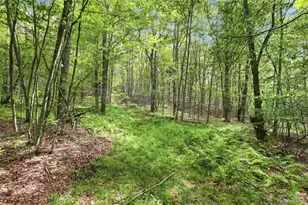 14483 County Rd 17, Roscoe, NY 12776 - Photo 41