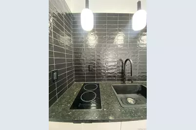 550 55 #1, Eldred, NY 12732 - Photo 3