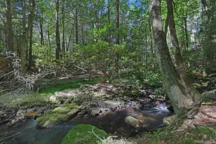 290 County Route 56, Wurtsboro, NY 12790 - Photo 27