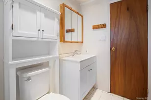 48 Grey Ln, Levittown, NY 11756 - Photo 23