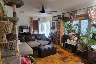 248 Graff Ave, Bronx, NY 10465 - Photo 11