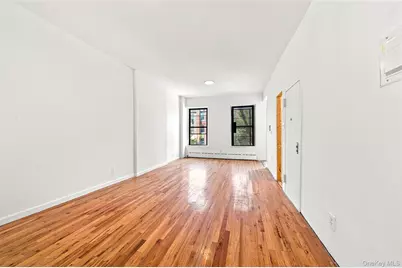 117 President Street, Brooklyn, NY 11231 - Photo 23