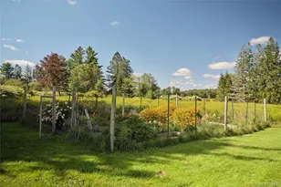 61 Shandelee Lake Rd, Livingston Manor, NY 12758 - Photo 29