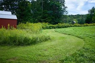 197 Weiss Rd, Roscoe, NY 12776 - Photo 41