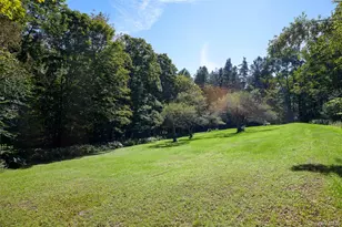 197 Weiss Rd, Roscoe, NY 12776 - Photo 33
