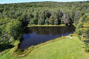 197 Weiss Rd, Roscoe, NY 12776 - Photo 31