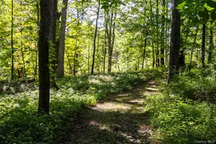 21 N Rd, Tivoli, NY 12583 - Photo 41
