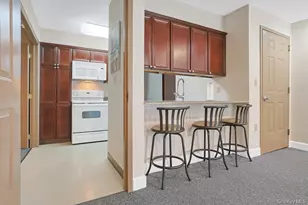 207 Sutton Dr, Mount Kisco, NY 10549 - Photo 27