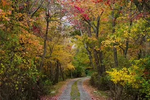 61341 Route 25, Southold, NY 11971 - Photo 35