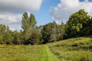 861 Snydertown Rd, Claverack, NY 12521 - Photo 3