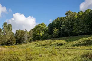861 Snydertown Rd, Claverack, NY 12521 - Photo 21
