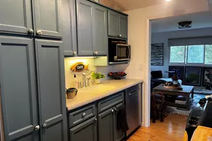 53 Lake View Rd, Kauneonga Lake, NY 12720 - Photo 3