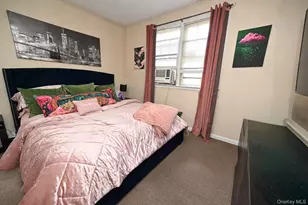 41 Porter St, Elmont, NY 11003 - Photo 13