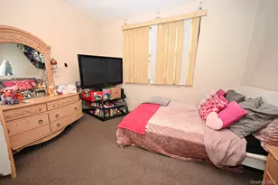 41 Porter St, Elmont, NY 11003 - Photo 11
