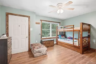 175 Nevis Rd, Clermont, NY 12583 - Photo 13