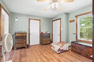 175 Nevis Rd, Clermont, NY 12583 - Photo 15