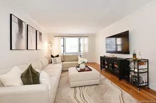 1 Birchwood Ct, Mineola, NY 11501 - Photo 3