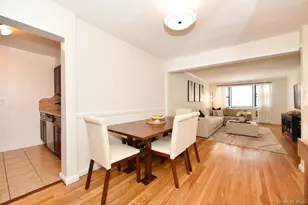 1 Birchwood Ct, Mineola, NY 11501 - Photo 7