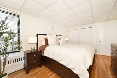 1 Birchwood Court #2O, Mineola, NY 11501 - Photo 9