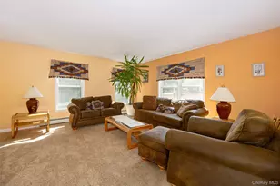 29 Balsam Rd, Hyde Park, NY 12538 - Photo 9