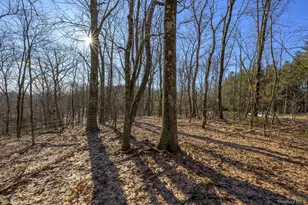 30 Ridge Ln, Hillsdale, NY 12529 - Photo 29