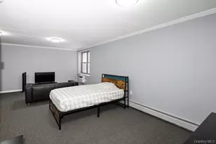 100 Clinton Ave, Mineola, NY 11501 - Photo 17