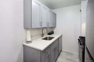 100 Clinton Ave, Mineola, NY 11501 - Photo 9