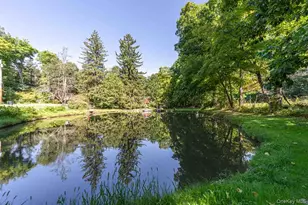 145 Drake Rd, Pleasant Valley, NY 12569 - Photo 43
