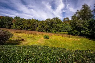 672 Tower Hill Rd, Millbrook, NY 12545 - Photo 11