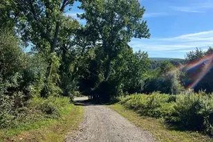 11 Buttonwood Rd, Dover Plains, NY 12522 - Photo 5