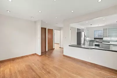 973 N 3rd Street, New Hyde Park, NY 11040 - Photo 15