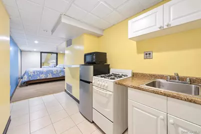33 Claridge Avenue, Elmont, NY 11003 - Photo 27