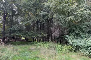 186 Twin Bridge Rd, Liberty, NY 12754 - Photo 13