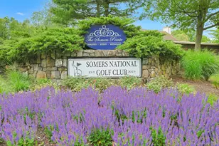 569 Heritage Hills Dr, Somers, NY 10589 - Photo 33