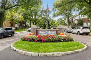 2 Peck Ave, Rye, NY 10580 - Photo 13