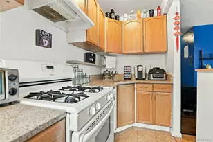 21 Bond St, Great Neck, NY 11021 - Photo 13