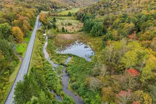 187 Gulf Rd, Roscoe, NY 12776 - Photo 41